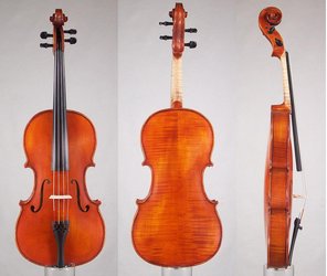 Image of Instrument